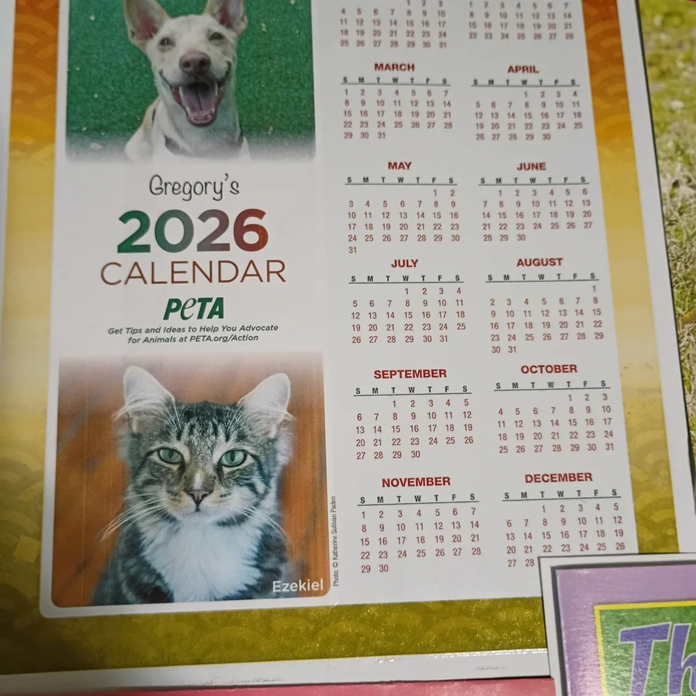 2026 Animal-Themed Calendar and Puzzle Set
